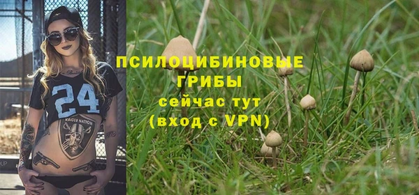 тгк Алексеевка