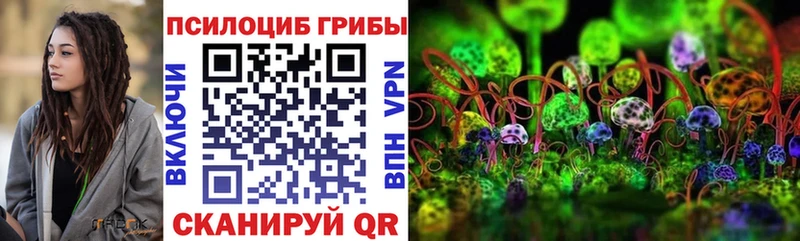 Псилоцибиновые грибы мицелий  ссылка на мегу как зайти  Почеп 